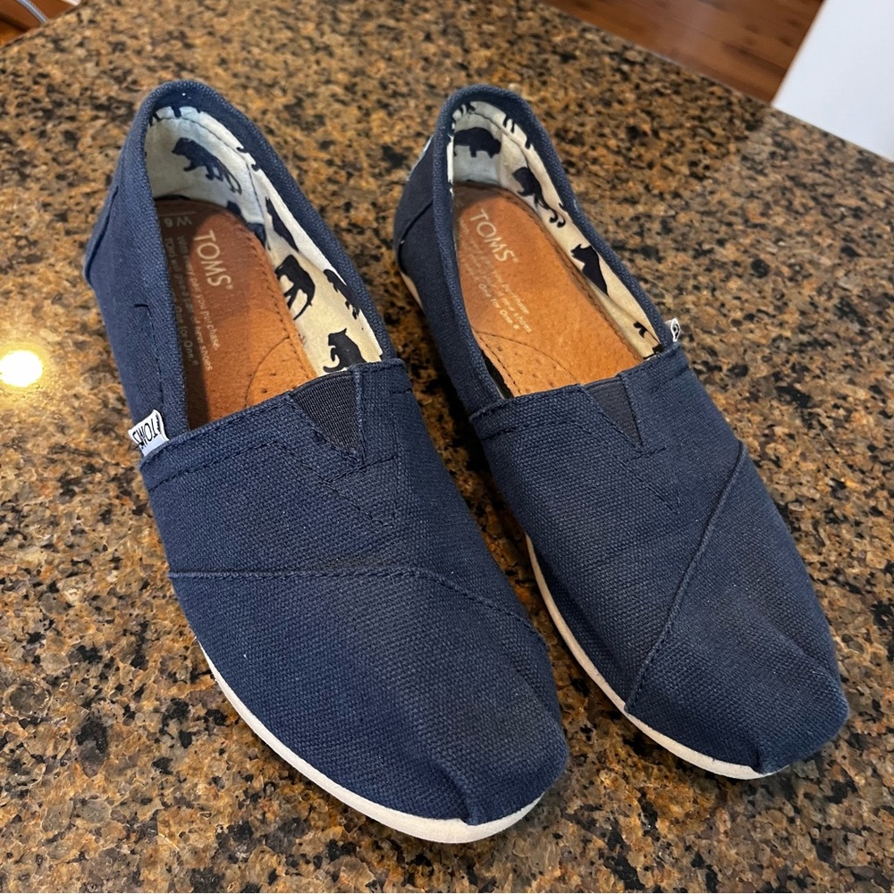 TOMS Navy Canvas Slip-On Shoes